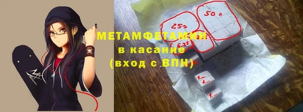 сатива Новозыбков