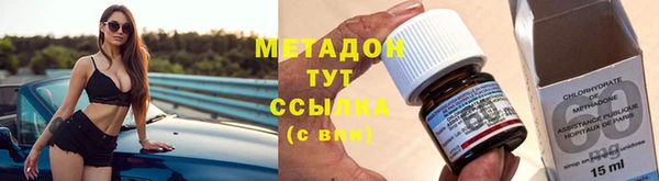 сатива Новозыбков