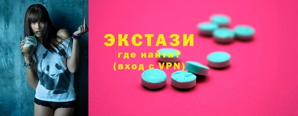 сатива Новозыбков