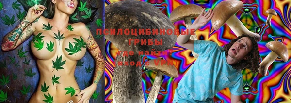 не бодяженный Новокубанск