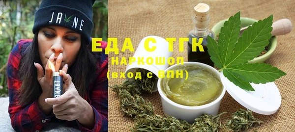 сатива Новозыбков