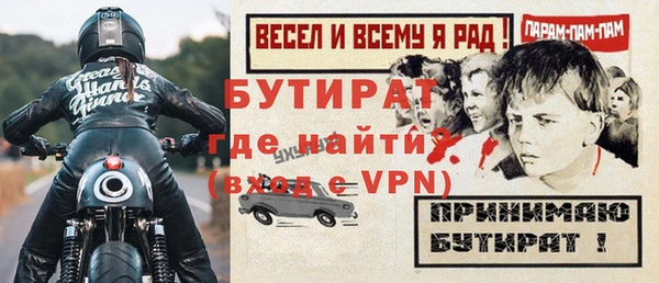 сатива Новозыбков