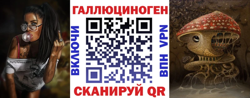 Купить  Чаплыгин  Псилоцибиновые грибы Psilocybine cubensis 